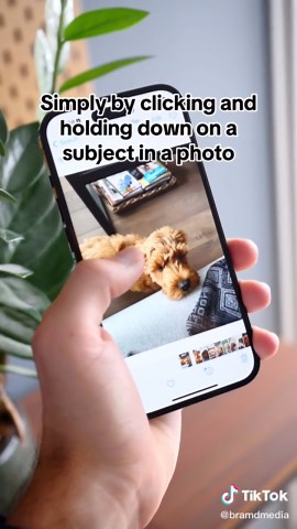 Explosive Sticker Gallery with iOS 17 Features