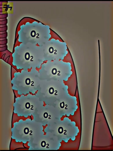 Fascinating Facts About Space and the Human Body