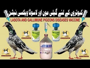 Lasota and Gallimune Pigeons Diseases Vaccine