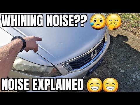 Under Hood Whining Noise Honda Accord Power Steering Alternator Belt Leak Problem How to 2012 2008