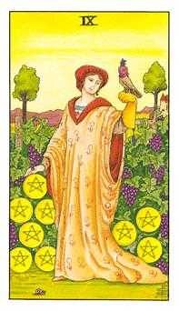 Nine of Coins Tarot Card Meanings