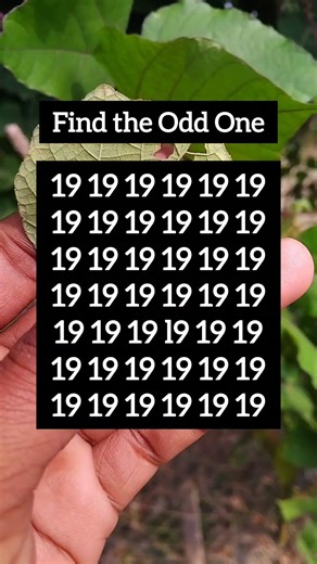 Find the Odd One | Visual Logic Challenge | Ep.1163