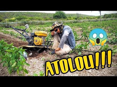 COMO TRABALHAR COM O MOTOCULTIVADOR