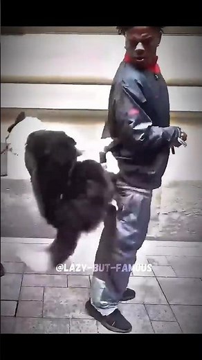😂 كلب يهاجم سبيد بعد حركة مجنونة! 🐕💀