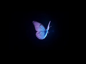 Flying Blue Purple Butterfly Black Screen | Free Green Screen Video