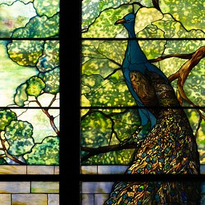 Installing Tiffany's Peacock Window at the Burke Museum