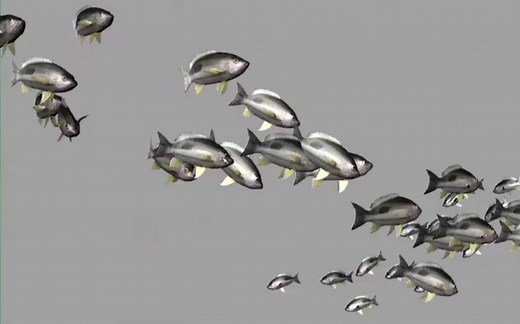 第12期试看-Maya粒子鱼群制作 鱼群游动动画特效教程粒子替换 （中文语音教程） 天蝎座-CG译 CG教程