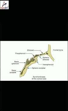Synchondrosis | ASPIRE MDS | NEET MDS