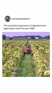 To begin, a diverse range of tobacco leaves and stems are mechanically shredded as raw materials and subsequently stored.The tobacco lamina, which refers to the elongated section of the leaf separated from the base to the tip by the stem, undergoes a series of treatments. These treatments include slicing, casing, conditioning, blending, cutting, and drying.Simultaneously, the tobacco stems are processed in a parallel manner. The stem processing entails moisturizing, conditioning, cutting, expand