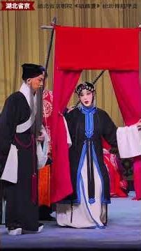 Incredible Zhao Shouzhen's Aria Collection: Solo Performance at Hubei Peking Opera Theatre