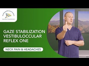 Gaze Stabilization Vestibulo-Occular Reflex One