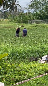 Sanco Land Surveying Services on Reels