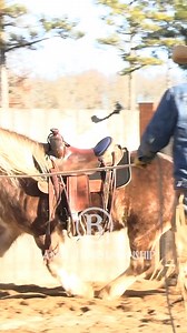 Respect the code. | B1 Horsemanship
