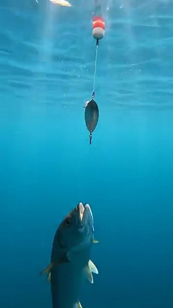 🤯 ULTIMATE Fish Bait SECRETS REVEALED! 🎣 Catch MORE Fish NOW! 🔥