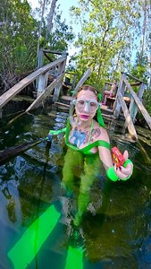 Feeding my baby birds 🥰💚 Mask @cressi1946 Fins @jblspearguns Selfie stick @telesin_official Camera @gopro 12 #bluegill #sunfish #underwater #funny #freediver | Coralia Dives