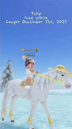 IUH Thoroughbreds ||WILD HORSE ISLANDS|| #iuh #roblox #wildhorseislands