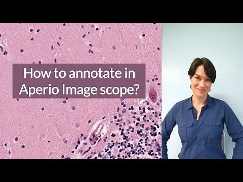 How to annotate in Aperio Image Scope