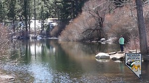 2.3K views · 72 reactions | In this week’s Wildlife Wednesday, we take a tour through NDOW’s Mason Valley Fish Hatchery and look at some of the ways NDOW stocks fish from the hatchery in local waterways. Mason Valley Fish Hatchery is located within the Mason Valley Wildlife Management Area north of Yerington. The hatchery produces fish for much of Nevada’s waterways. | Nevada Department of Wildlife | Facebook