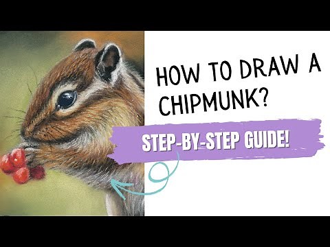 How to Draw a Chipmunk Step by Step