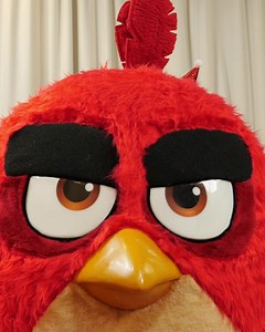 24K views · 449 reactions | Our first Angry Birds game came out ELEVEN YEARS AGO! How old were YOU in 2009? | Angry Birds | Facebook