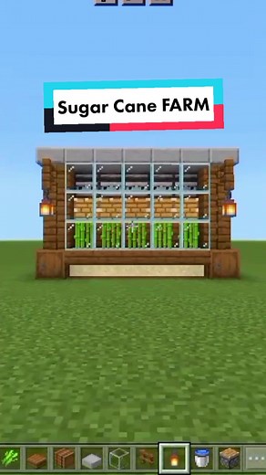 Ultimate Sugar Cane Farm Guide in Minecraft