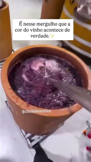 Você já se perguntou de onde vem aquela cor intensa e o sabor marcante ?🍇#winelover #vinho #reels