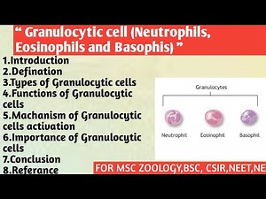 Granulocytic cells (Neutrophils, Eosinophils and Basophils) | Types of granulocytic cells | Function