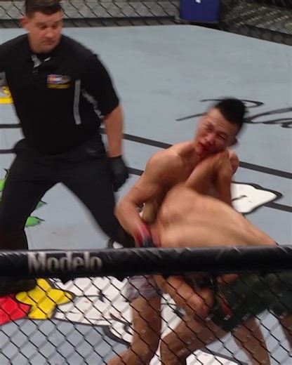 1.8M views · 12K reactions | These are just some of the most breathtaking moments in UFC history  | UFC | Facebook