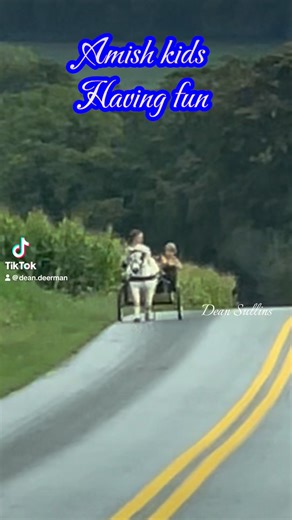 12 reactions · 4 comments | Amish kids are jagging riding with their dog in a pony cart in Amish country-Lancaster county Pennsylvania #Amish #foryoupage #amishtourguy #viralreelsfacebook #fyp #amish #amishcountry #trending #horses #pony #lancastercounty | Dean Sullins | Facebook
