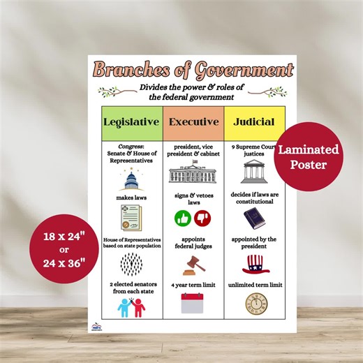 Branches of Government Laminated Anchor Chart | History Classroom Poster - Etsy