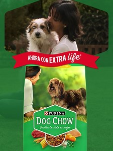 935K views · 1.6K reactions | Conoce el nuevo Dog Chow ®, ahora con Extralife #juntoslavidaesmejor. Ingresa aquí para más información: https://www.purina-latam.com/ec/dogchow | Purina Dog Chow | Facebook