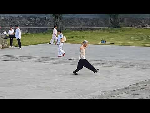 Bagua Zhang - Old Master