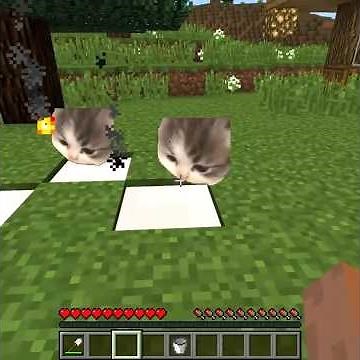 Meme Animals Cats and Dogs part 23 in Minecraft ( shorts version )