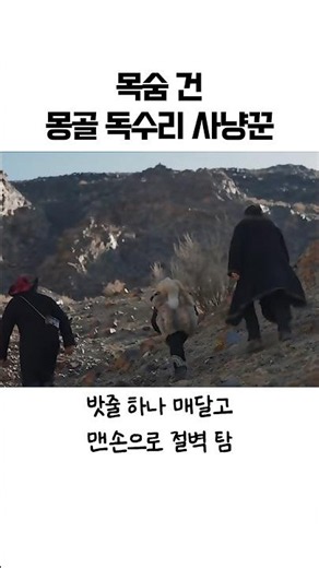 까딱하면 눈 파이는데 맨손으로 독수리 둥지 터는 몽골 아저씨들 ㄷㄷ