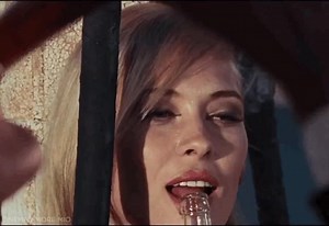 2.5K views · 152 reactions | Gangster Story (Bonnie and Clyde) - 1967 | Cinema Amore Mio | Facebook