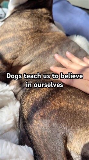 Start believing in yourself, your dogs do. #dogshorts #positivity #cute #believe #slowliving #dogs