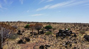Aerial: Flying towards a white pick up car which is parked near a quiver tree forest in Keetmanshoop of Namibia, Africa