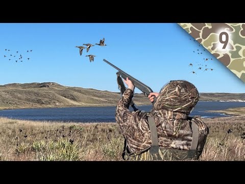 Backcountry Mixed Bag Duck Hunt // My Lab Georgie Steals the Show!