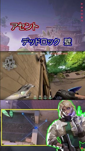 【毎日１定点】アセント デッドロック バリアメッシュ 壁 #valorant #valorant立ち回り