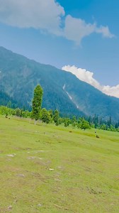 #hayatjani2021 #hkrrestaurant1 #plzzunfreezemyaccoun | Hayat Khan