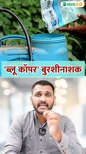 2K views · 35 reactions | ब्ल्यु कॉपर - डोस, वापर आणि फायदे | blue copper fungicide uses in marathi | copper oxychloride 50 wp | BharatAgri Marathi | Facebook