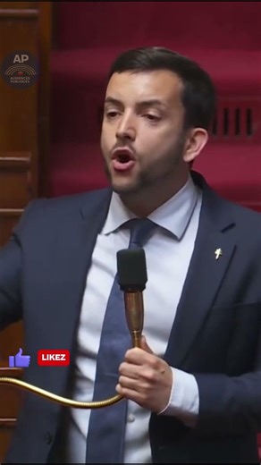 « Vous êtes des ESCROCS » — Tanguy vs Voynet