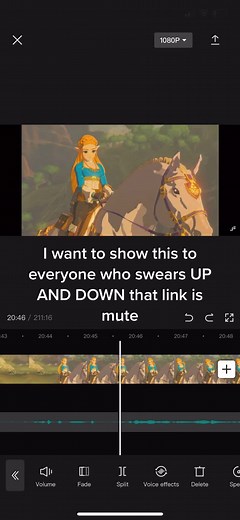 Dialogue with NPC's in Breath of the Wild - Linked Universe