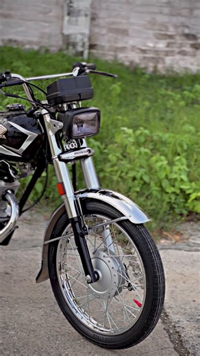 Remembering a Beloved Wolf: A Tribute Video