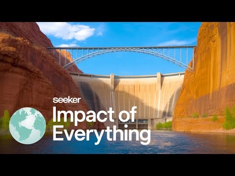 Should All Dams Be Removed?