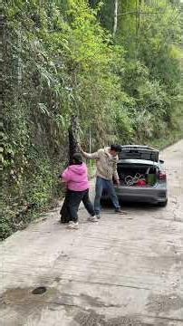拿来放我车上，我帮你带回去 #funny #正能量剧情 #automobile