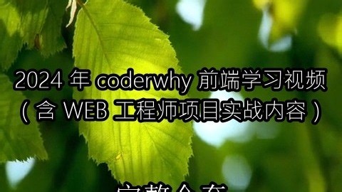 2024 年 coderwhy 前端学习视频（含 WEB 工程师项目实战内容）