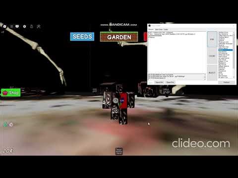 Showcasing Project C4N0F SS External (Free SS!)