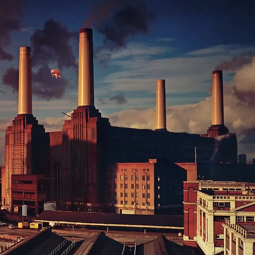 Animals - Pink Floyd （1977）