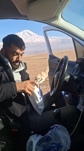 healing store Kéké Lélé Şifâ Débosu | Fırat Alkan